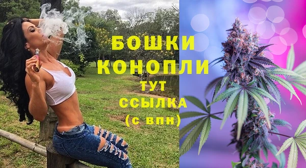 хмурый Бронницы