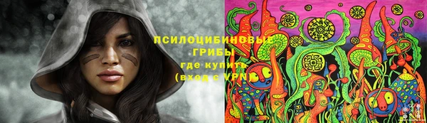 spice Богородск