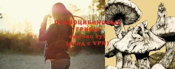 хмурый Бронницы