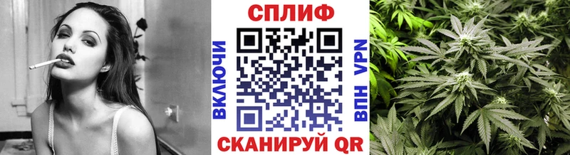 Шишки марихуана Amnesia  Купить  Таруса 